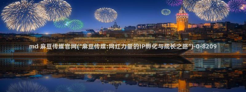 麻豆站内搜索