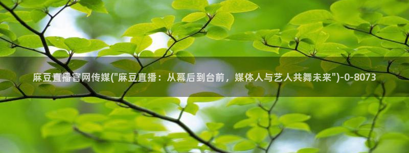 麻豆视频排名词