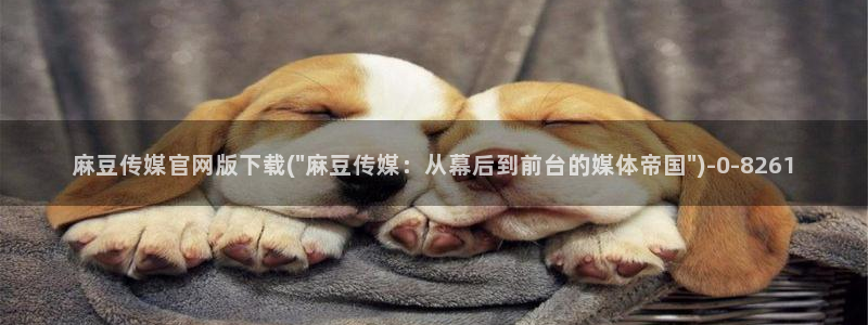 麻豆视频在线