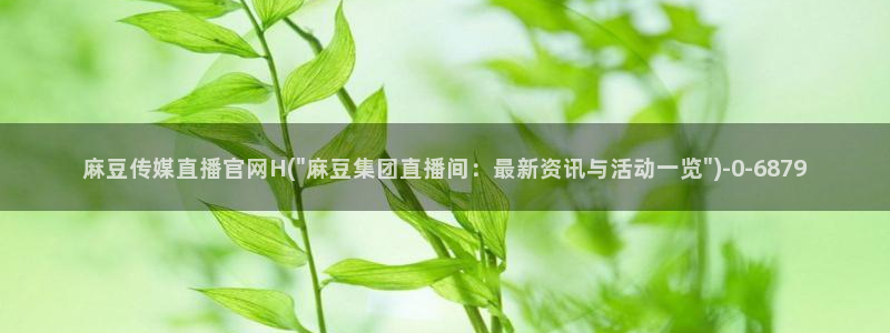 麻豆视频分类规则