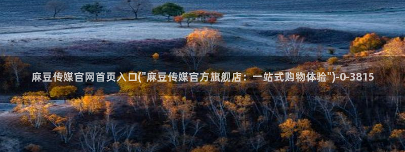 麻豆视频在线看