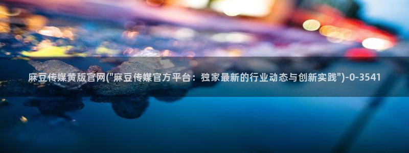 麻豆资讯描述