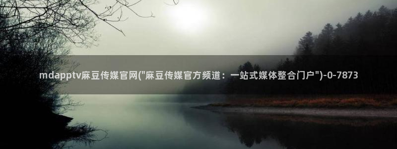 麻豆视频高流量词