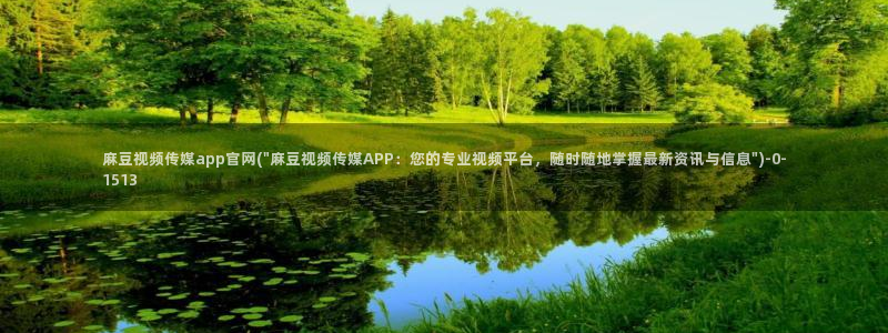 麻豆视频栏目规划