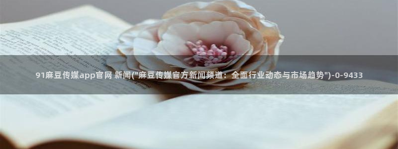 麻豆视频栏目规划