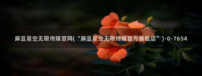 麻豆视频资讯文案
