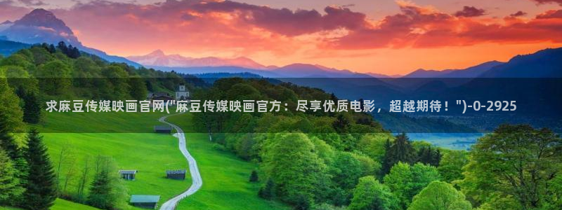 麻豆视频页面标题