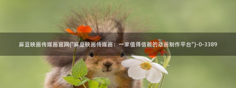 麻豆视频列表文案