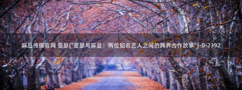麻豆视频模板