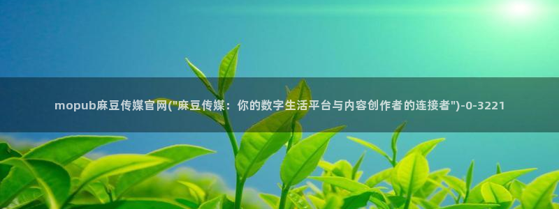 麻豆精品片单