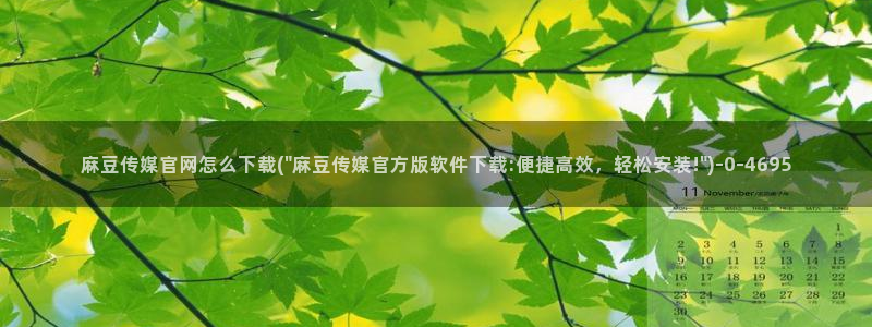 麻豆视频标签
