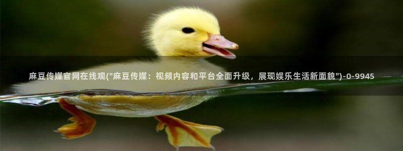 麻豆视频演员文案