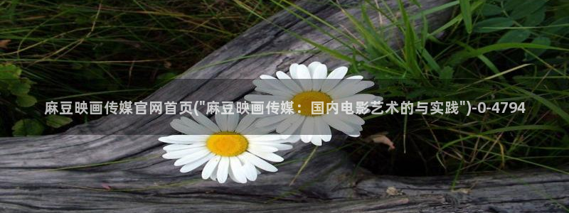 麻豆视频页面结构