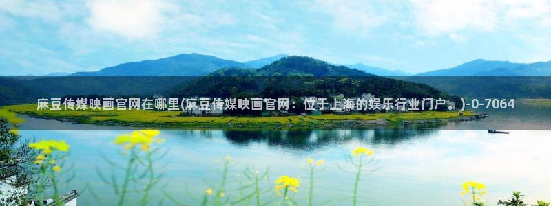 麻豆视频用户体验