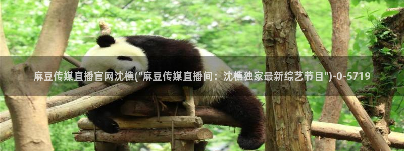 麻豆视频收藏
