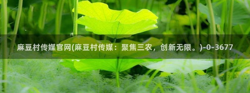 麻豆内容模板