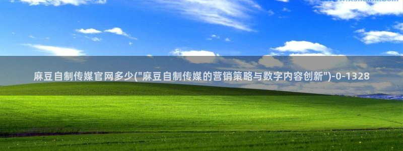 麻豆SEO模板：麻豆自制传媒官网多少(\