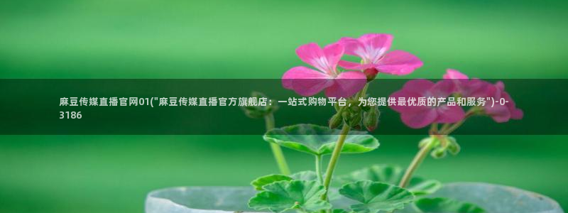 麻豆传媒精选：麻豆传媒直播官网01(\