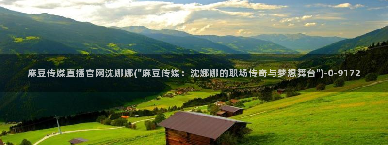 麻豆视频专题维护