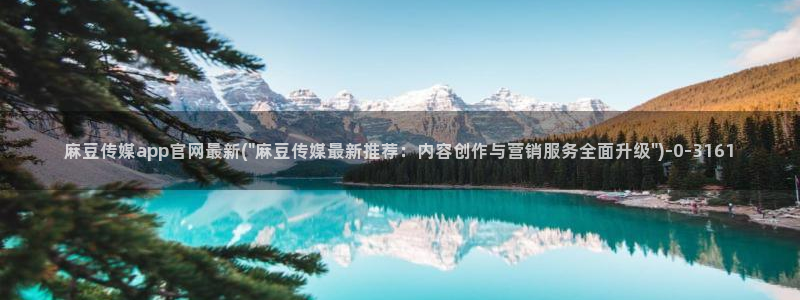 麻豆传媒在线观看