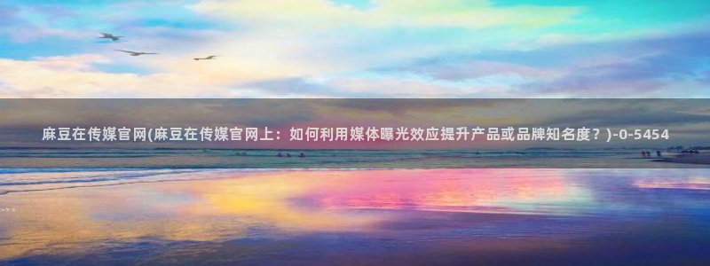 麻豆视频网站