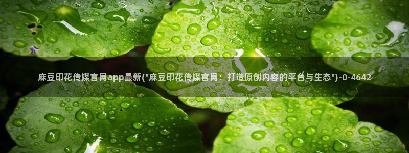 麻豆视频资源站文案