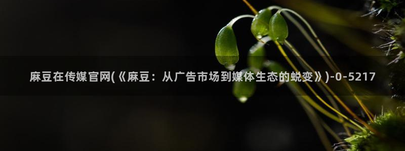 麻豆在线视频：麻豆在传媒官网(《麻豆：从广告市场到媒体生态的蜕变》)