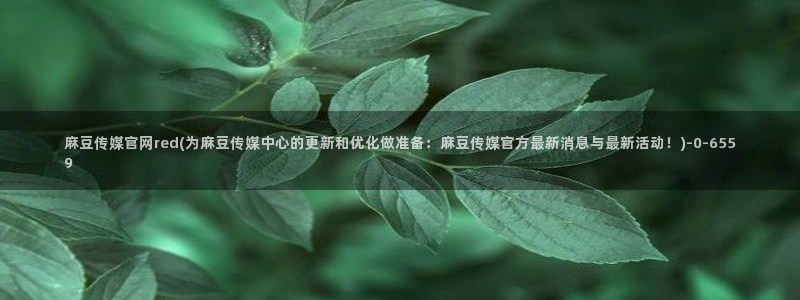 麻豆视频关于我们