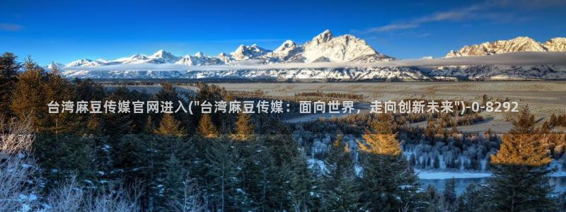 麻豆视频采集规则