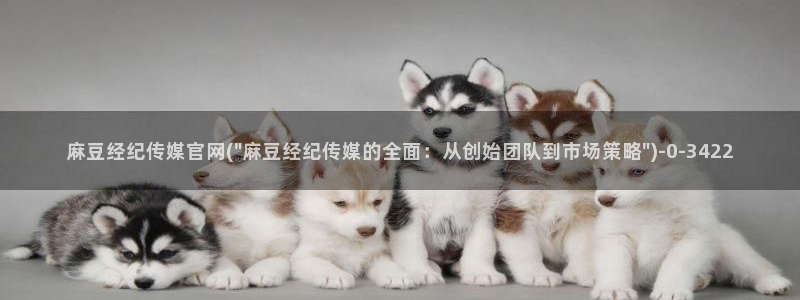 麻豆自定义库