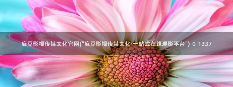 麻豆视频采集